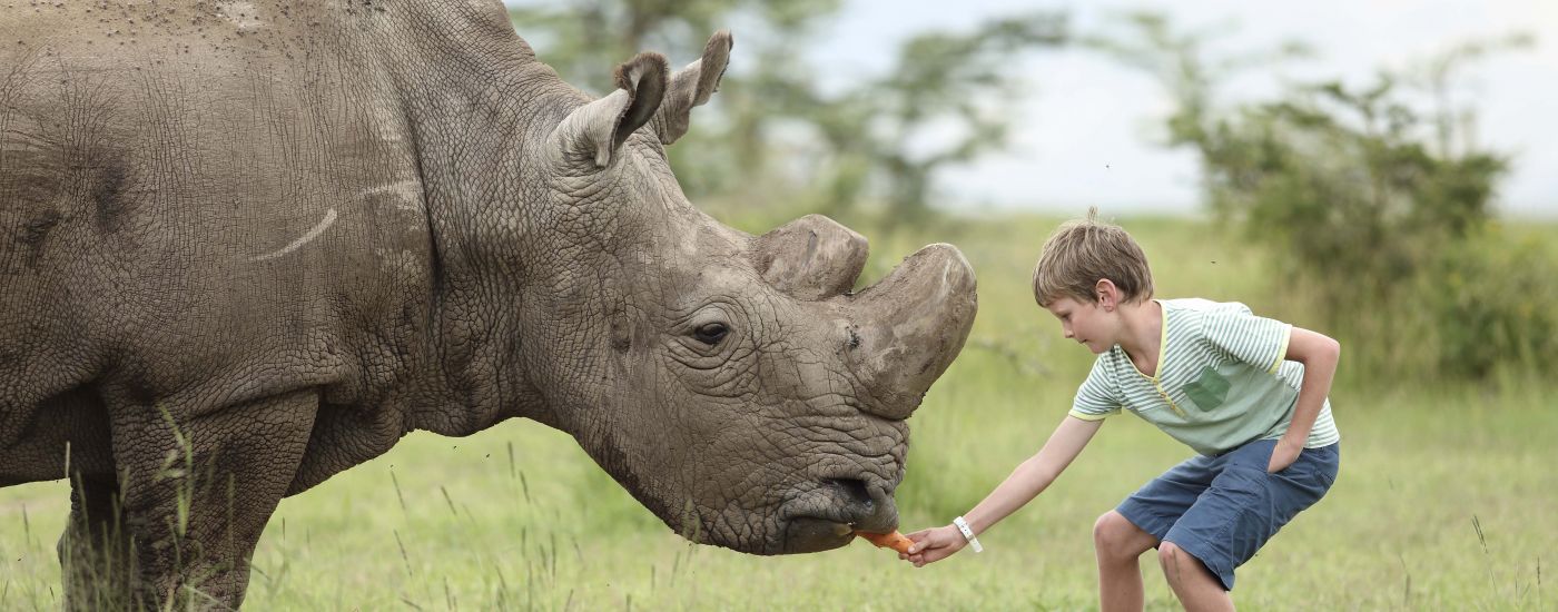 Award Winning Family Safari Planning