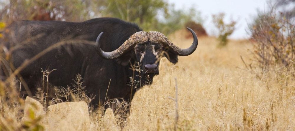 Mawe Ninga Camp, Tarangire National Park,Tanzania - Image 8