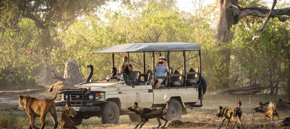 Xakanaxa camp - Image 2