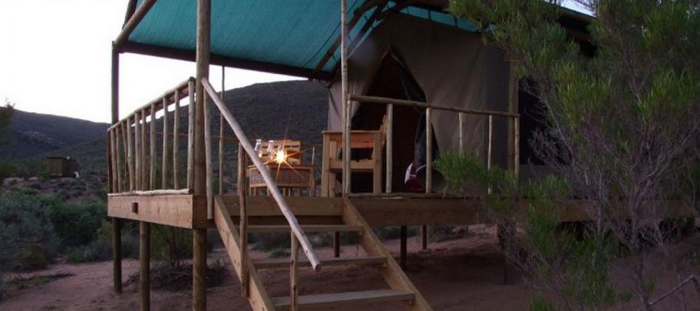 Agama Tented Camp, Namakwaland, South Africa - Image 4