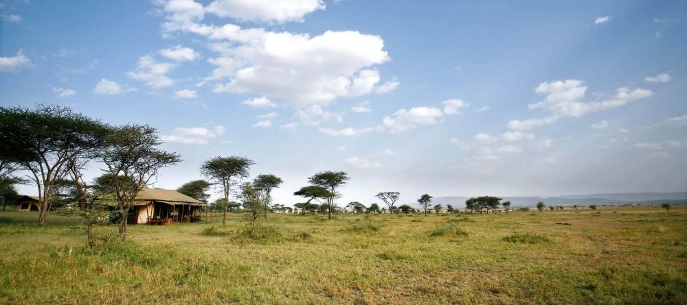 Lemala Kuria, Serengeti National Park, Tanzania - Image 2