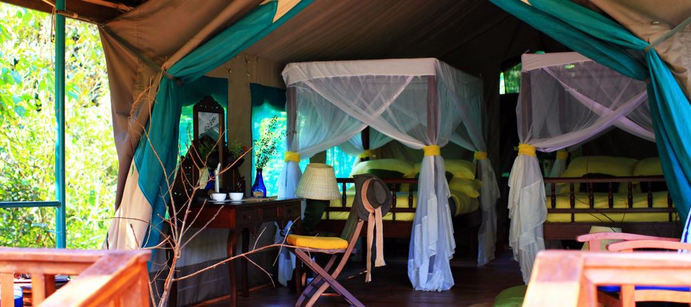 Tent at Gombe Forest Lodge, Gombe National Park, Tanzania - Image 7