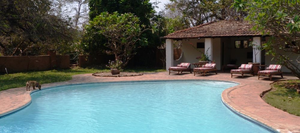 New pool at Kapani Lodge, South Luangwa National Park, Zambia - Image 7