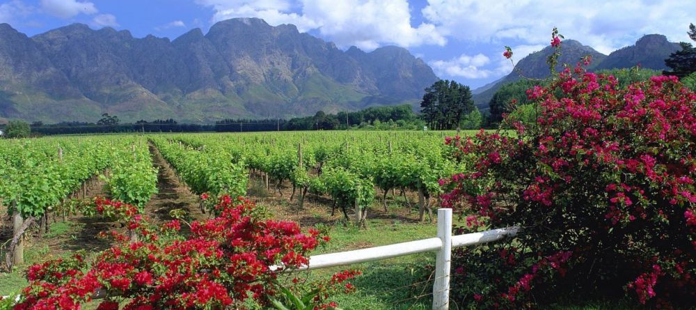 La Fontaine, Franschhoek, South Africa - Image 5