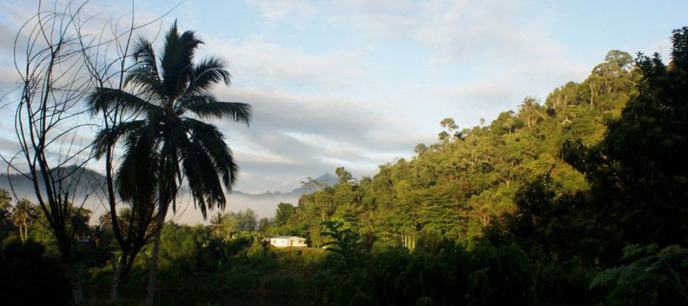 La Ferme de Flavien, Marojejy National Park, Madagascar - Image 1
