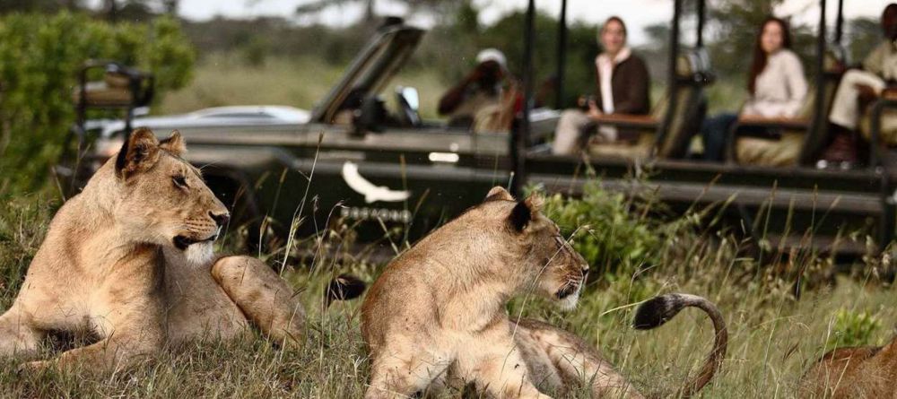Delta Explorer Campsite, Okavango Delta, Botswana - Image 2
