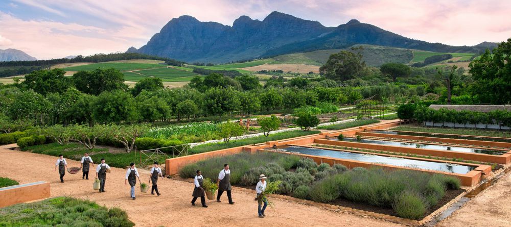 Babylonstoren, Franschhoek, South Africa - Image 9