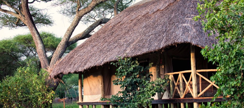 Tarangire River Camp - Image 2