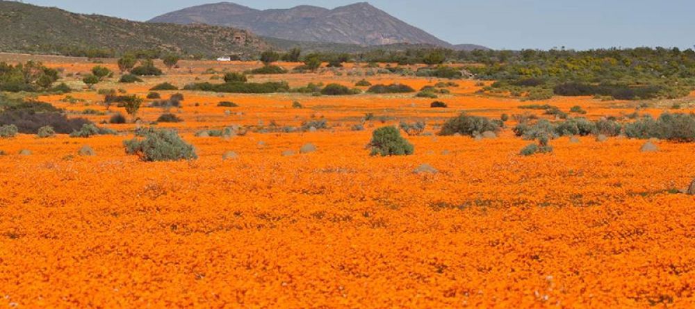 Daisy Country Lodge, Namakwaland, South Africa - Image 1