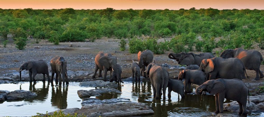 Rovos Rail - Pretoria to Victoria Falls - Image 2