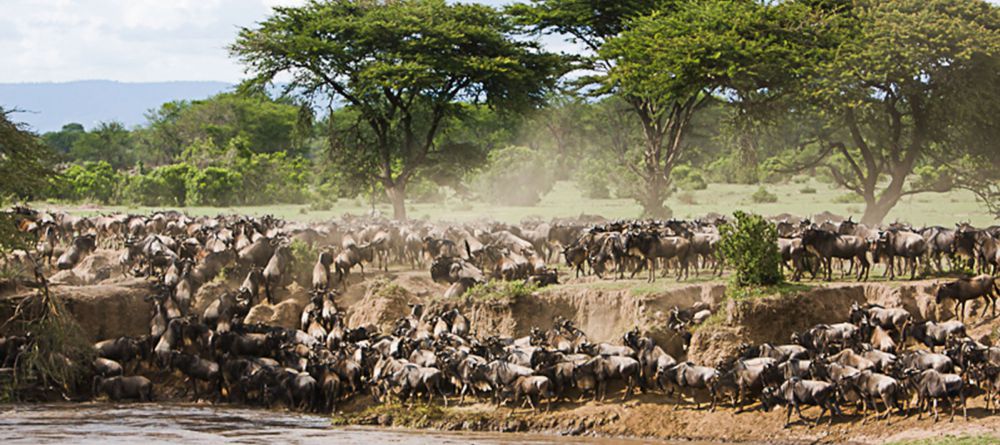Legendary Safari Camp, Serengeti National Park, Tanzania - Image 5