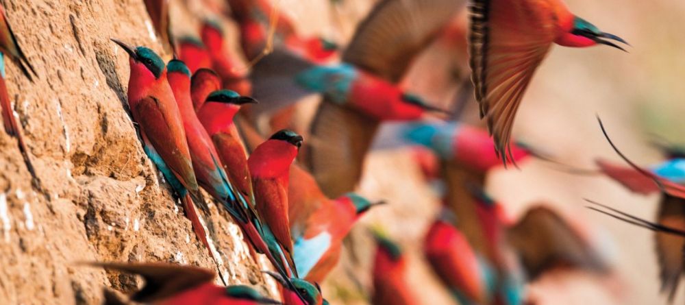 Nsolo Bush Camp, South Luangwa National Park, Zambia - Image 6