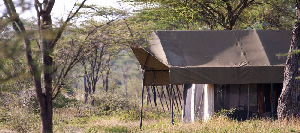 Olaado Camp, Serengeti National Park, Tanzania - Image 2