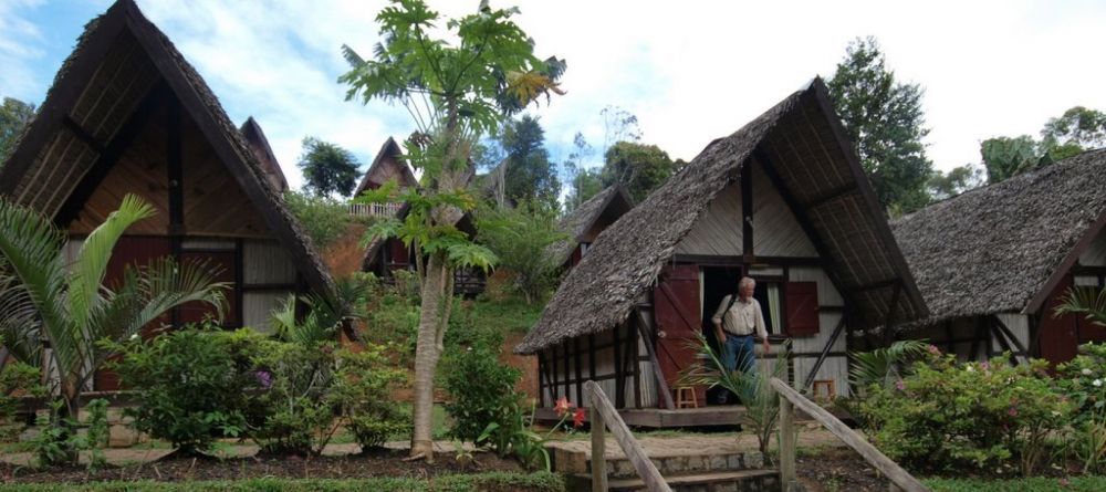 Feon Ny Ala, Andasibe National Park, Madagascar - Image 1