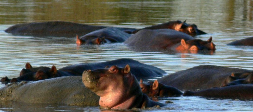 Mahali Mzuri, Olare Motogori Conservancy, Kenya - Image 13