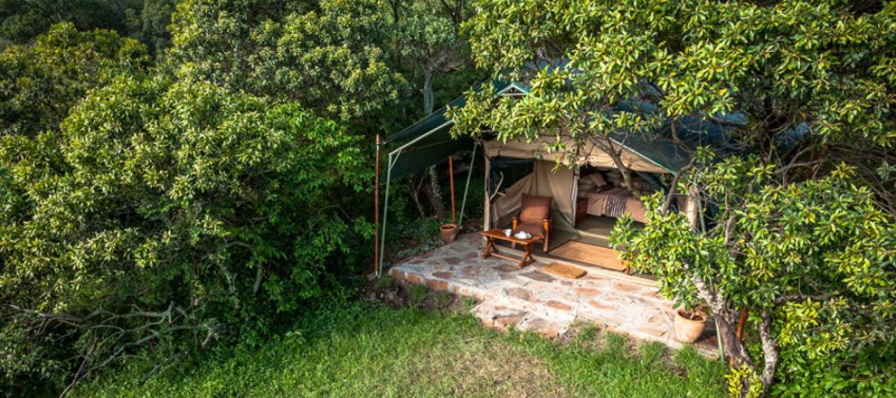 Losokwan Camp, Lemek Conservancy, Kenya - Image 1