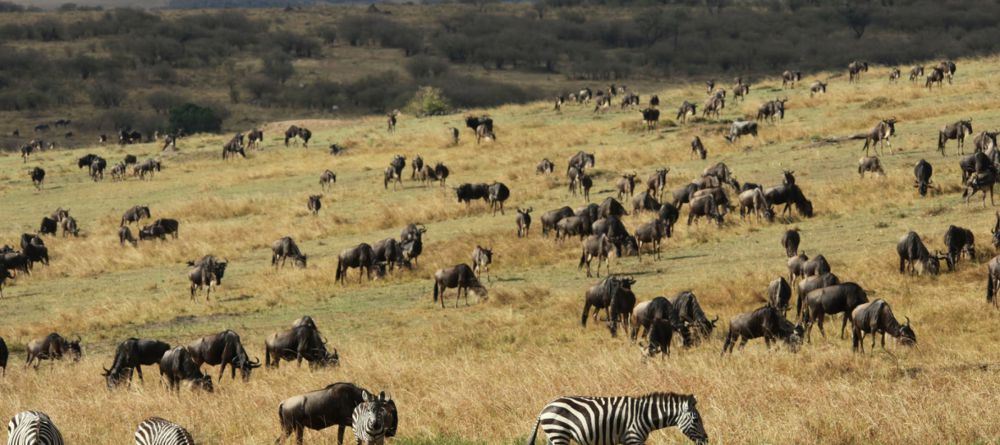 Mahali Mzuri, Olare Motogori Conservancy, Kenya - Image 15