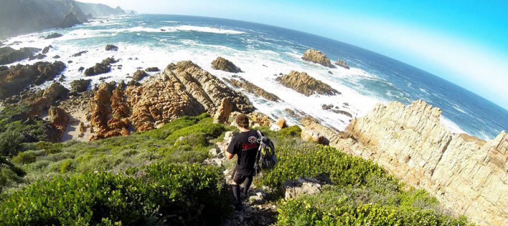 The Harkerville Hiking Trail, Garden Route, South Africa - Image 10