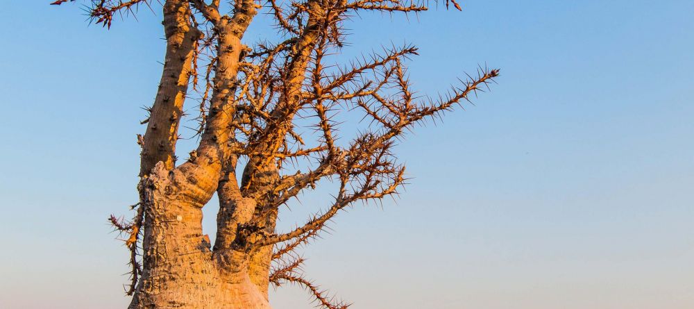 Etendeka Mountain Camp - View - Image 5