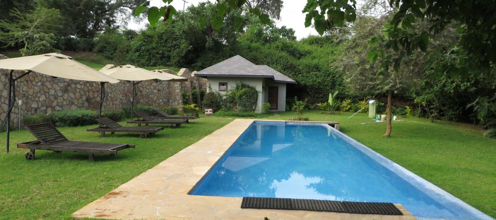 The secluded pool and sun loungers at Lake Duluti Lodge, Arusha, Tanzania (Mango staff photo) - Image 9