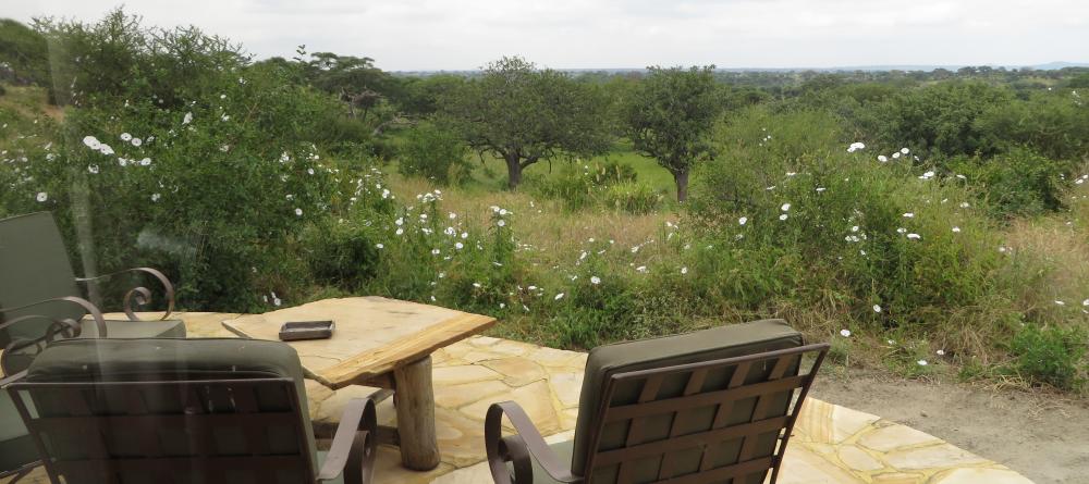 A veranda overlooking the sweeping Tarangire wilderness at Tarangire Osupuko Lodge, Tarangire National Park, Tanzania (Mango staff photo) - Image 8