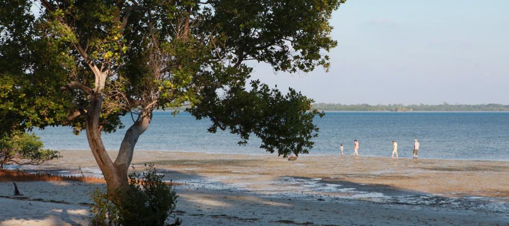 Enjoy beach walks at Kinasi Lodge, Mafia Island, Tanzania (Mango staff photo) - Image 5