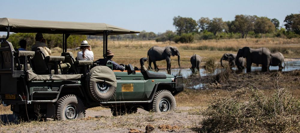 Game drive - Image 1