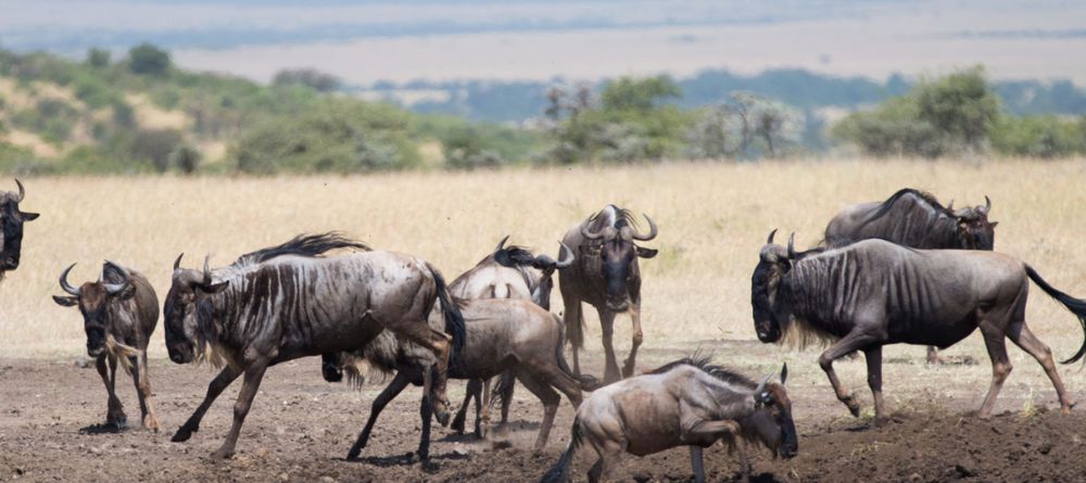 Mahali Mzuri, Olare Motogori Conservancy, Kenya - Image 21