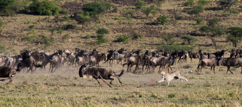 Mahali Mzuri, Olare Motogori Conservancy, Kenya - Image 23