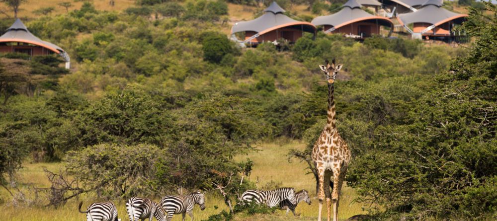 Mahali Mzuri, Olare Motogori Conservancy, Kenya - Image 25