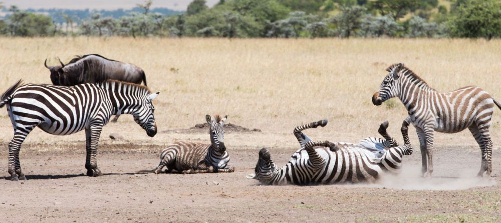 Mahali Mzuri, Olare Motogori Conservancy, Kenya - Image 27