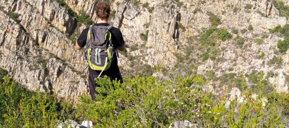 The Harkerville Hiking Trail, Garden Route, South Africa - Image 1