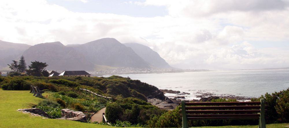 View from The Marina - Image 2