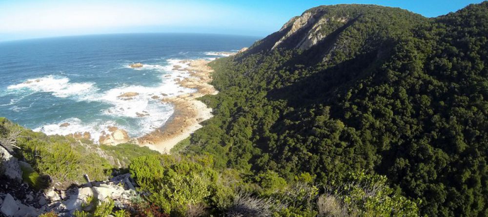 The Harkerville Hiking Trail, Garden Route, South Africa - Image 11