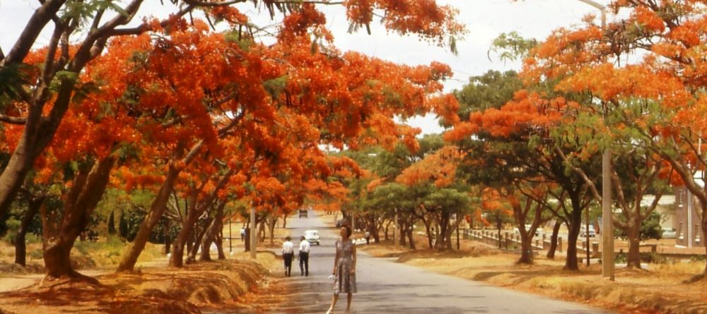 The city of Lusaka - Taj Pamodzi Hotel, Lusaka, Zambia - Image 4