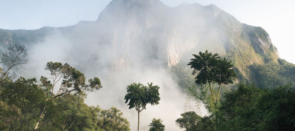 Camping in Marojejy National Park, Madagascar - Image 4