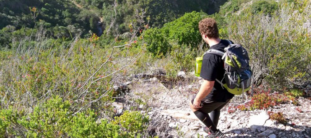 The Harkerville Hiking Trail, Garden Route, South Africa - Image 2