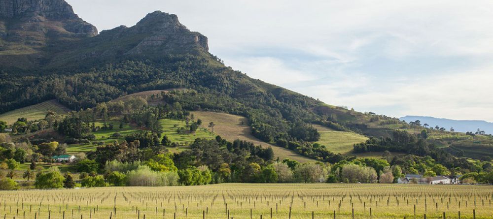 Banhoek Lodge, Stellenbosch, South Africa - Image 6