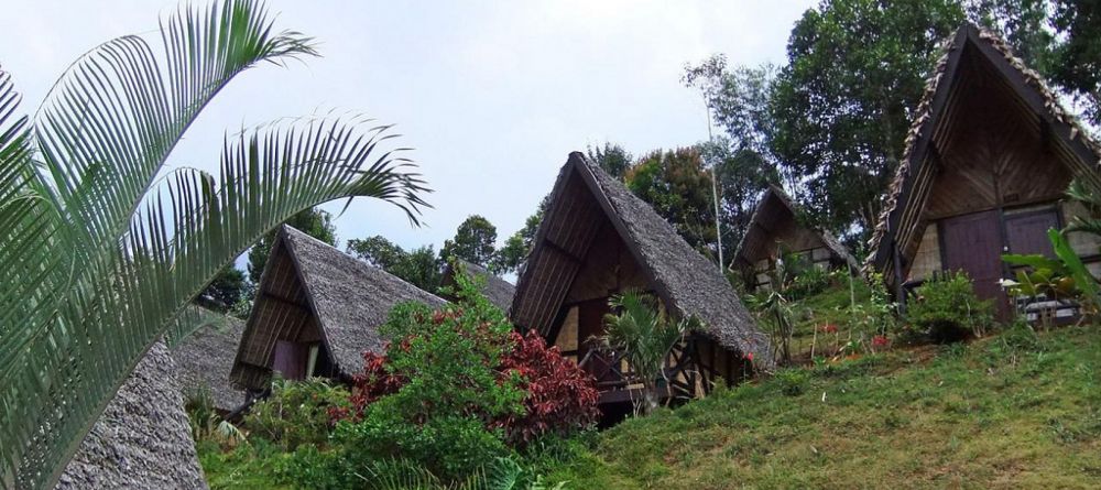 Andasibe Hotel, Andasibe National Park, Madagascar - Image 10
