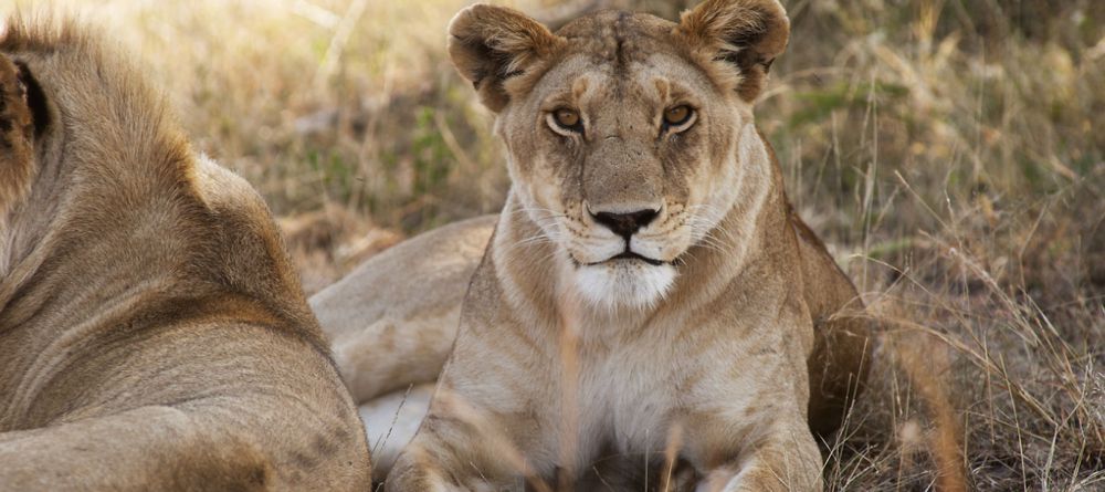 Mkombe's House, Serengeti National Park, Tanzania - Image 10