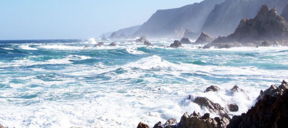 The Harkerville Hiking Trail, Garden Route, South Africa - Image 4