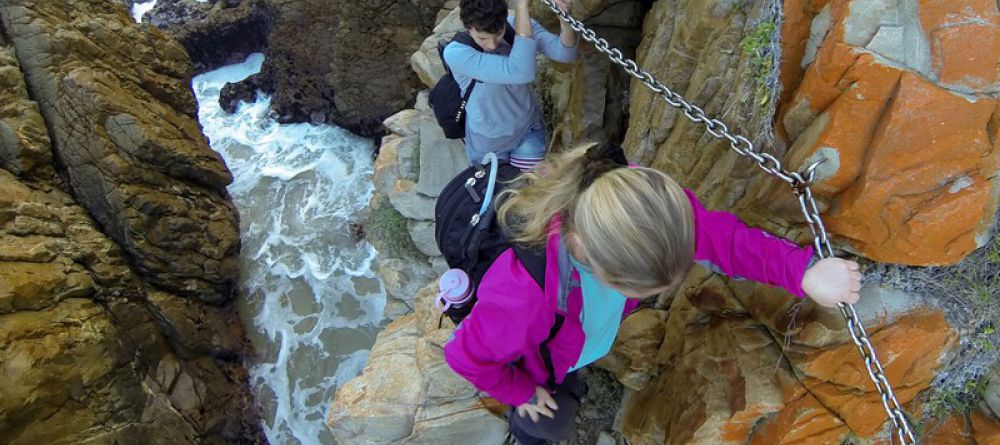 The Harkerville Hiking Trail, Garden Route, South Africa - Image 5