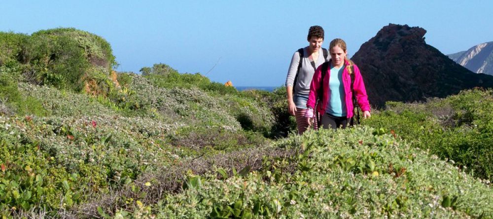 The Harkerville Hiking Trail, Garden Route, South Africa - Image 6