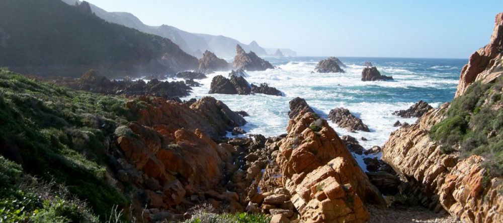 The Harkerville Hiking Trail, Garden Route, South Africa - Image 7