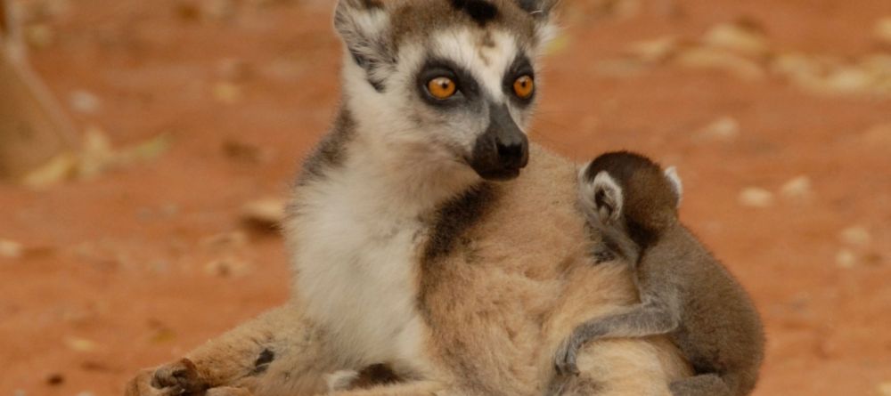 Le Jardin du Roy, Isalo National Park, Madagascar - Image 4