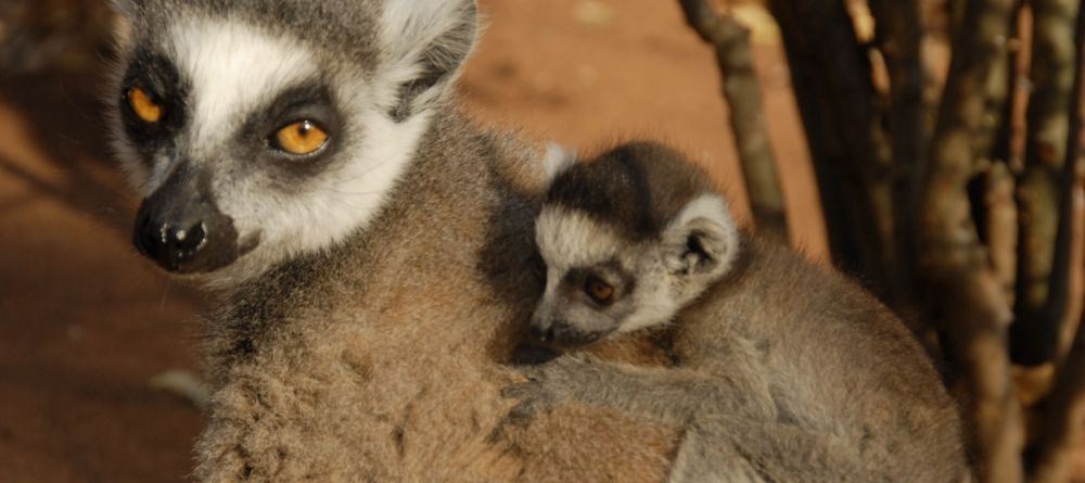 Le Relais de la Reine, Madagascar - Image 8