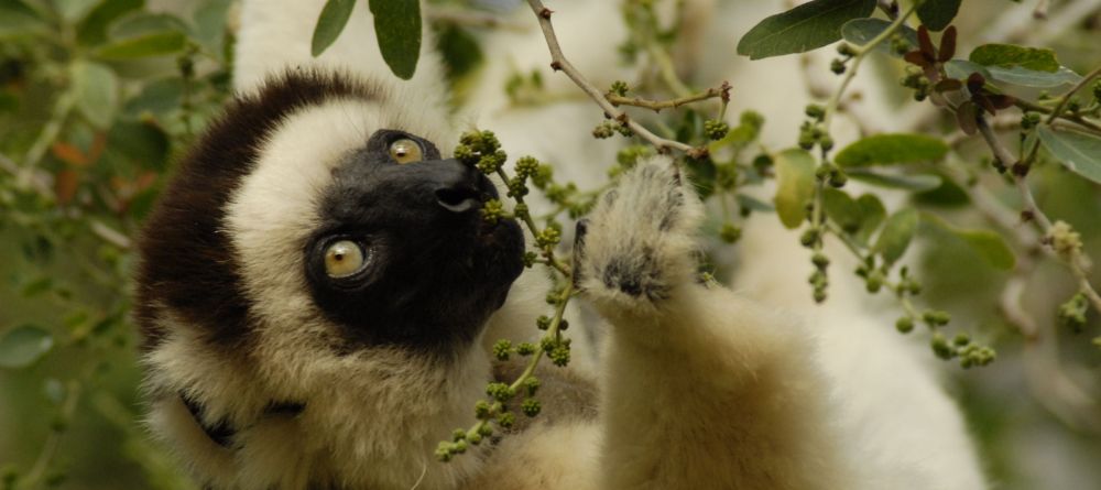 Orchidee Hotel, Tsingy, Madagascar - Image 5