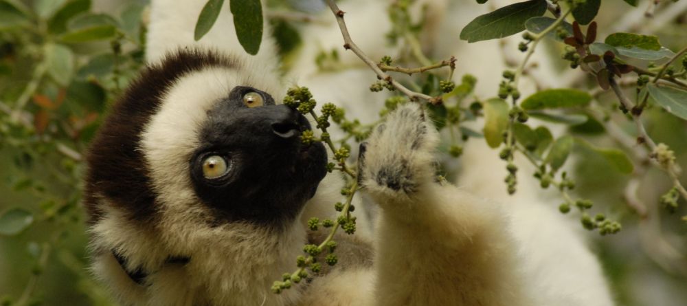 Sakatia Lodge, Nosy Be, Madagascar - Image 13