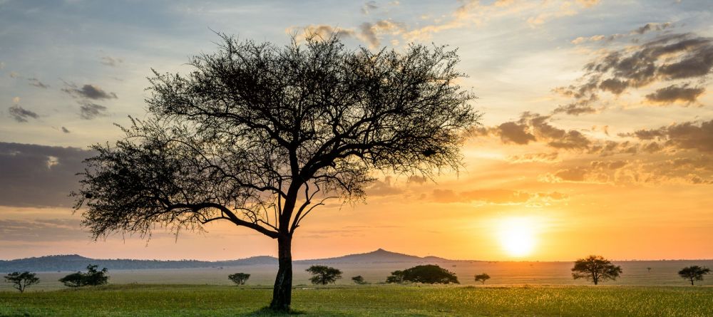 Sabora Tented Camp, Grumeti Private Reserve, Tanzania - Image 6