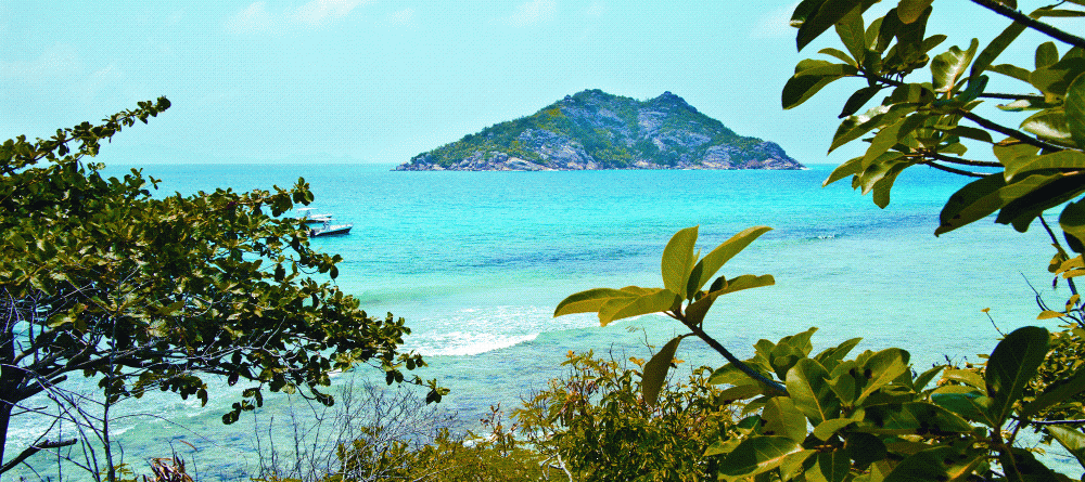 The beautiful view at New Emerald Cove, Praslin, Seychelles - Image 15